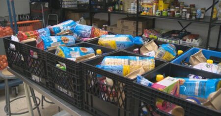 Monthly food bank use in Canada soars to record 2 million: report