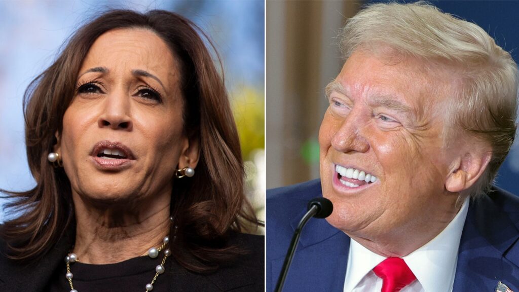 Trump leads Harris in Georgia 2 weeks from Election Day, poll finds