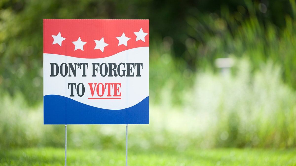 voter sign