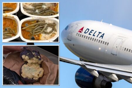 Delta cancels meal service on hundreds of flights after FDA flags ‘food safety issue’