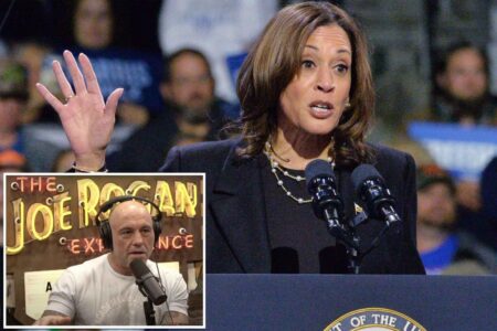 Harris campaign in talks with Joe Rogan about possible podcast interview: report