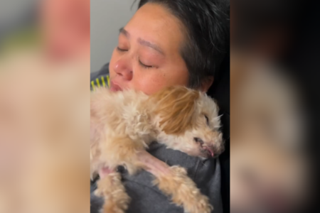 Senior Dog About To Be Euthanized, Then She Does the Unexpected—’Not Today’