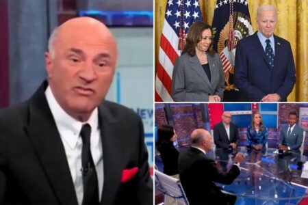 Kevin O’Leary clashes with CNN panel, says Democrats ‘circumvented democracy’ by selecting Harris