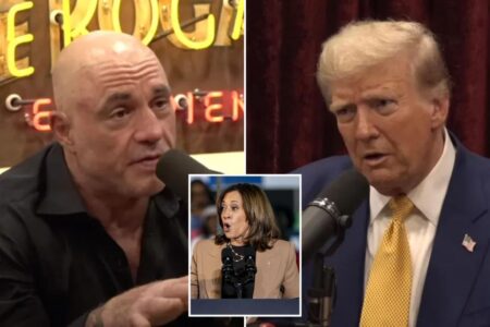 Trump tells Joe Rogan the podcaster should ‘endorse’ him: ‘You cannot be voting for Kamala’