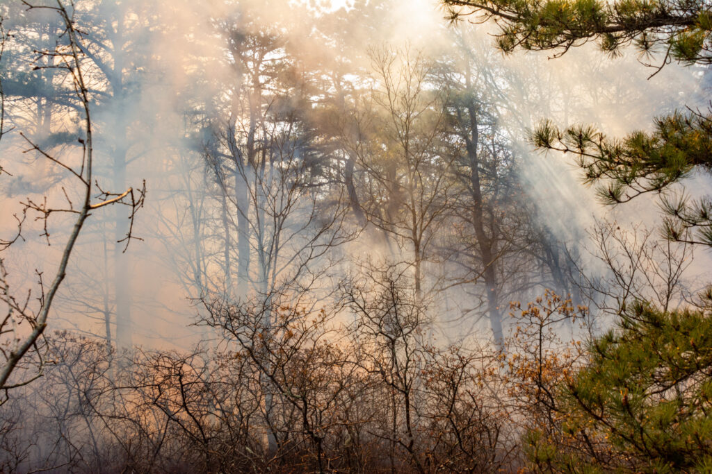 Nine States Along the East Coast Warned About Wildfires