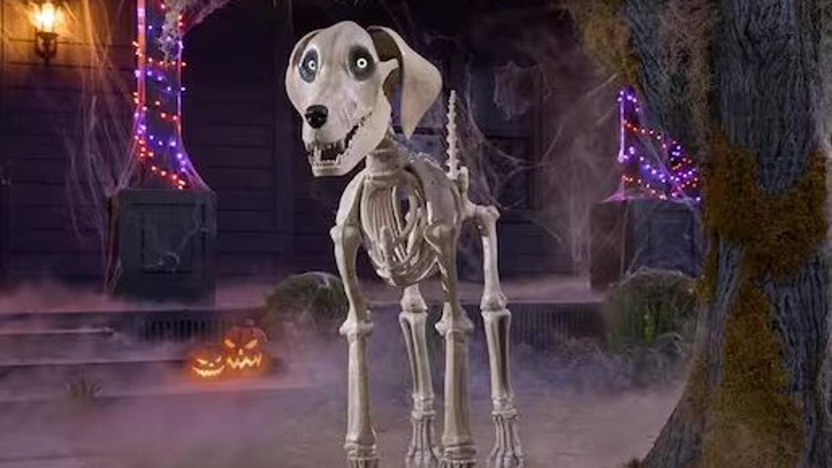 Give your skeleton a sidekick with this skeleton dog. 