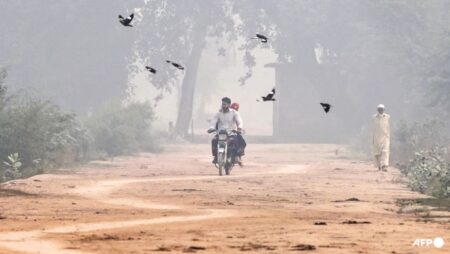 Pakistan’s Punjab province shuts schools in smog-hit main cities