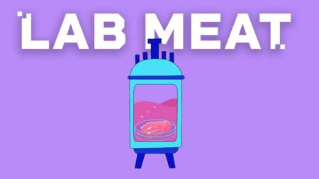 EU DECODED: Could lab-grown meat arrive in supermarkets soon?