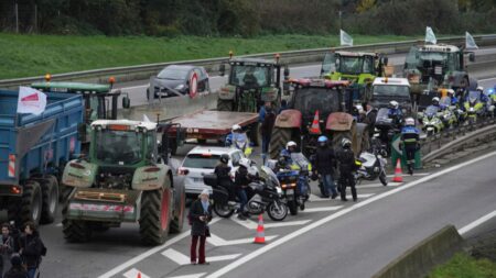 French farmers mobilise nationwide to protest EU-Mercosur trade deal