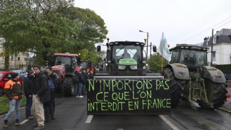 Mercosur: France seeks to rally blocking minority against trade deal