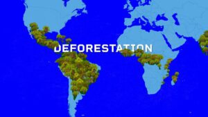 EU DECODED: Deforestation law’s trade-offs under negotiation