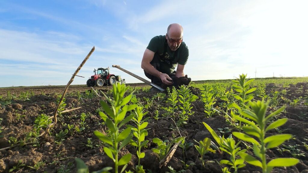 Do organic farmers still have a chance in Europe?