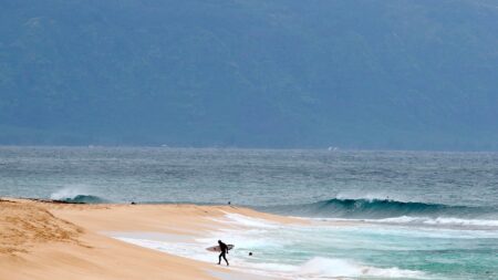 Shark ‘completely severs’ leg of Hawaii surfer off Maui beach, authorities say