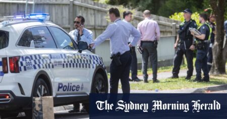 Woman stabbed to death in Bayswater home, man arrested