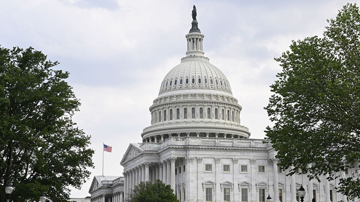 Flag flies on Capitol Hill