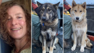 Search for missing Oregon hiker and her dogs suspended over ‘weather conditions, likelihood of survivability’