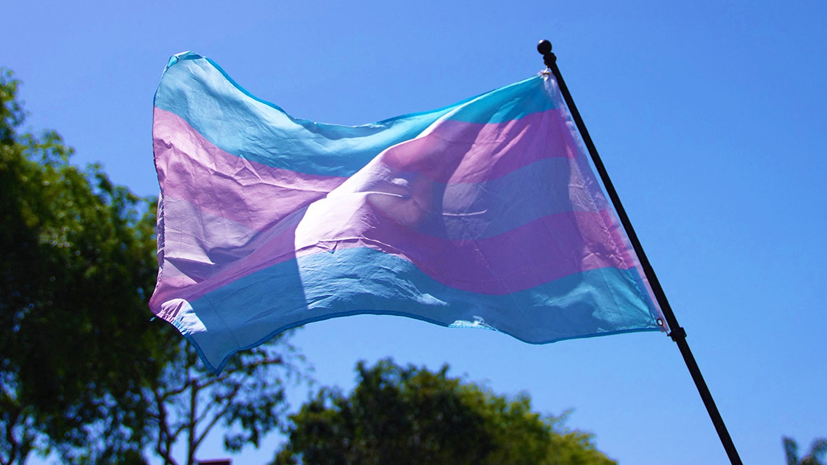 Transgender pride flag