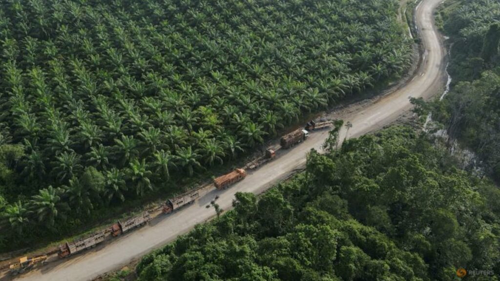 Nestle, P&G investigate palm oil sourcing after green group’s Indonesia deforestation report