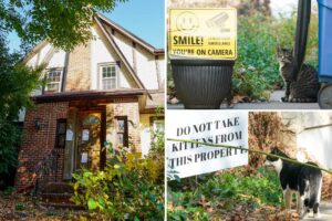 Donald Trump’s childhood home in Queens is overrun by feral cats, infuriating neighbors