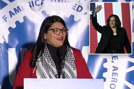 ‘Squad’ holdout: Rashida Tlaib refuses to endorse Kamala Harris at Michigan rally