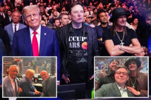 Trump’s MAGA prizefighters: Here’s who was with the President-elect at UFC 309 at Madison Square Garden