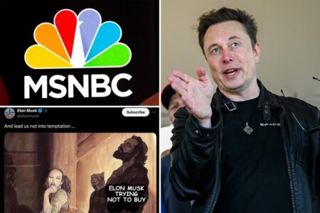 Elon Musk jokes about buying MSNBC — using a very bawdy meme