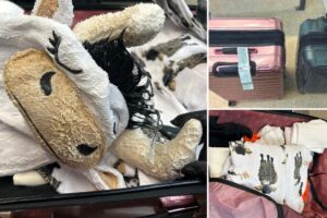 California man tried to fly from LAX with 71 pounds of meth-caked clothes, including cow pajama onesie: DOJ