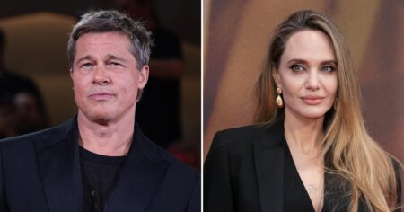 Brad Pitt Scores Legal Win in Winery Court Battle With Ex Angelina Jolie, Case Is Headed to Trial