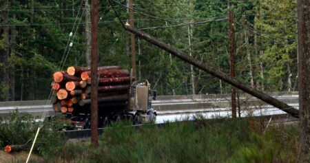 BC Hydro says power almost fully restored after B.C. windstorms