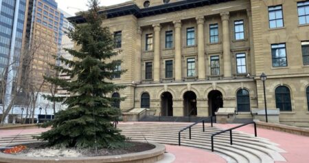 Family spruce to be this year’s McDougall Centre Christmas tree