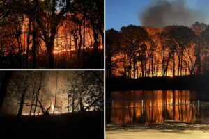 Firefighters battle blaze in Brooklyn’s Prospect Park as NYC’s unprecedented dry stretch continues