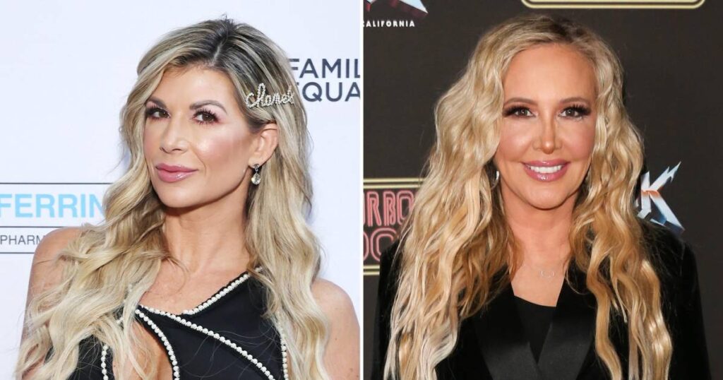 RHOC’s Alexis Bellino Reacts to Shannon Beador’s Settlement Payment: ‘John Gave You a Discount’