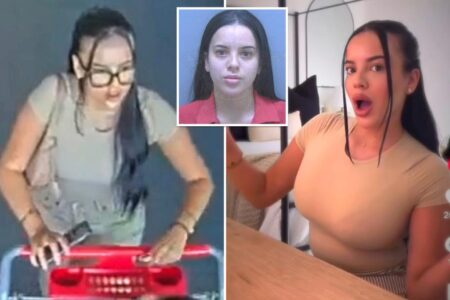 TikTok influencer arrested after allegedly flaunting shoplifted Target goods on video: ‘She’s been living recklessly’