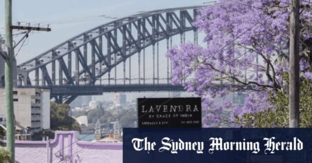 Sydney Morning Herald’s 2024 jacaranda poetry competition winner