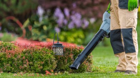 Best Leaf Blowers for 2024