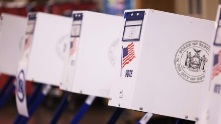 Election Day 2024: Worried About Voter Roll Purges? Breathe Easy With These Registration Lookup Tools