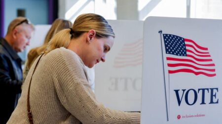 Election 2024: Disinformation Didn’t Keep Voters From the Polls