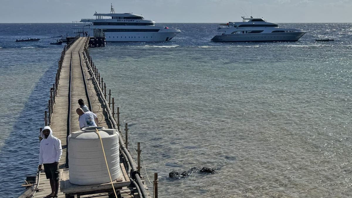 Boats in harbor