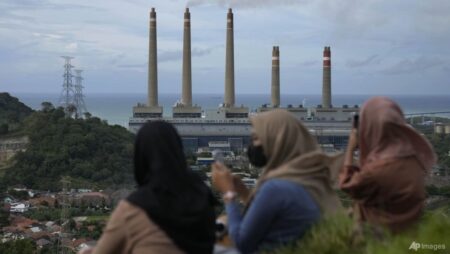 Are Prabowo’s climate goals for Indonesia overambitious?