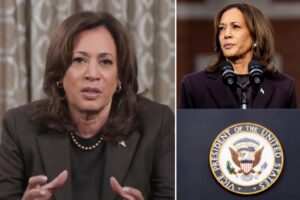 Kamala Harris consoles supporters in widely mocked remarks following post-election loss vacation: ‘Perfectly on-brand’ 