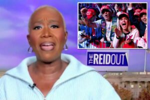 MSNBC’s Joy Reid has unhinged rant against Republicans ahead of Thanksgiving: ‘Make your own dinner, MAGA’