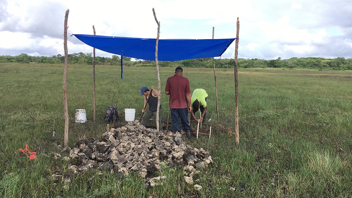 Belize archaeological site