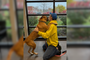 Dog Owner Surrenders Pet During Cancer, 750 Days Later Finds Her at Shelter