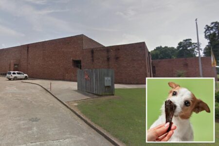 Miss. teacher who unwittingly fed students dog treats ousted from job: ‘You didn’t notice a dog on the pack’