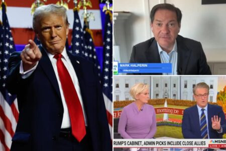 ‘Never-Trumpers,’ liberal media were living in ‘blue bubble’ before Trump’s victory, says veteran journalist