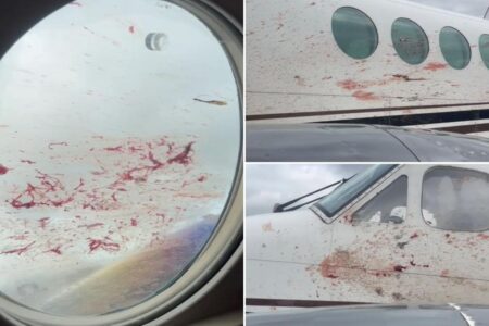 Airplane splattered with blood after propellers butcher flock of Alaska’s state bird: gruesome pics