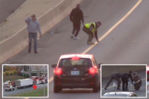 Driver struck and killed walking across highway where people were grabbing loose cash