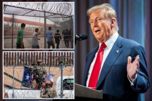 Trump confirms plans to use military force to deport migrants after declaring national emergency