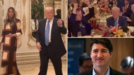 Musk, Stallone among star-studded names partying at Trump’s Mar-a-Lago club for Thanksgiving