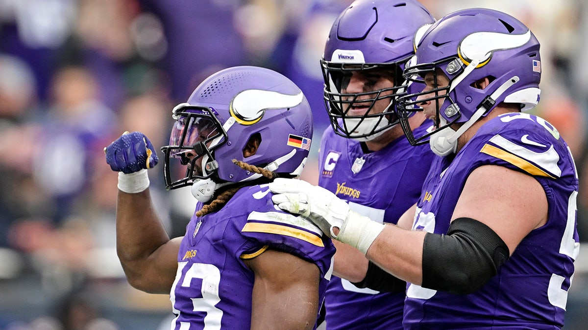 Vikings celebrate touchdown